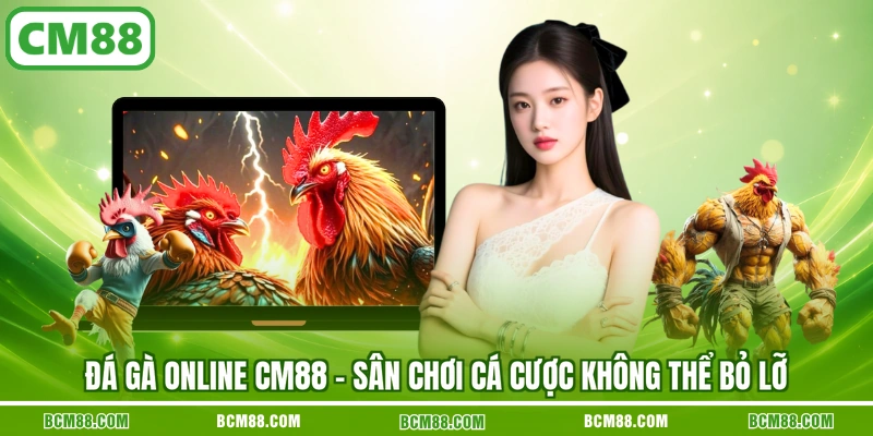 Da ga online cm88 san choi ca cuoc khong the bo lo