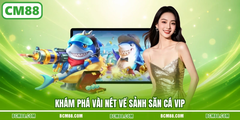 Khám phá vài nét về sảnh săn cá VIP Khám phá vài nét về sảnh săn cá VIP