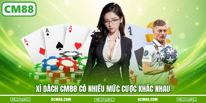 Xì Dách CM88 có nhiều mức cược khác nhau Xì Dách CM88 có nhiều mức cược khác nhau